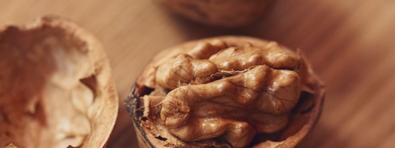 A close-up of a cracked walnut showing the wrinkled kernel inside