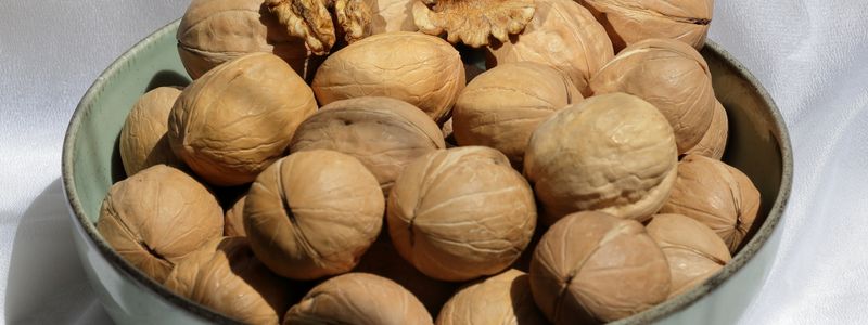A ceramic bowl filled with whole walnuts