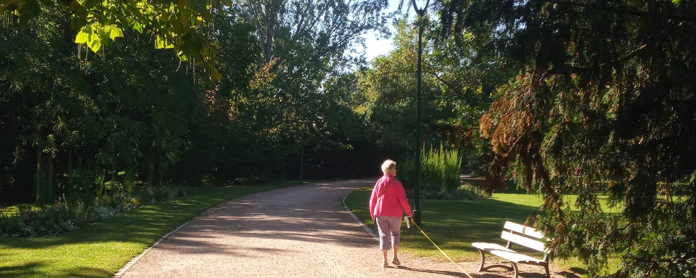 Sunny park path lined with trees and benches with a woman walking in the distance