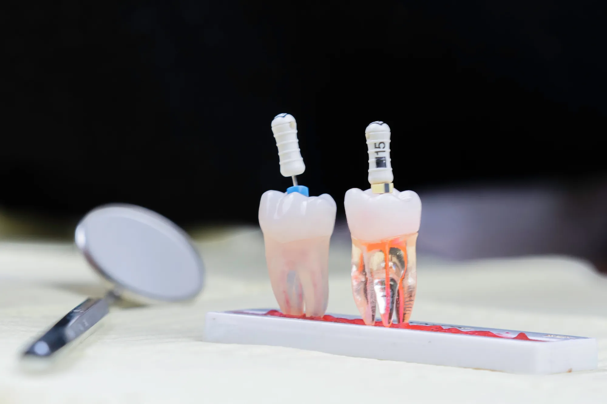 Dental specialists team at Canarsie Dental Brooklyn