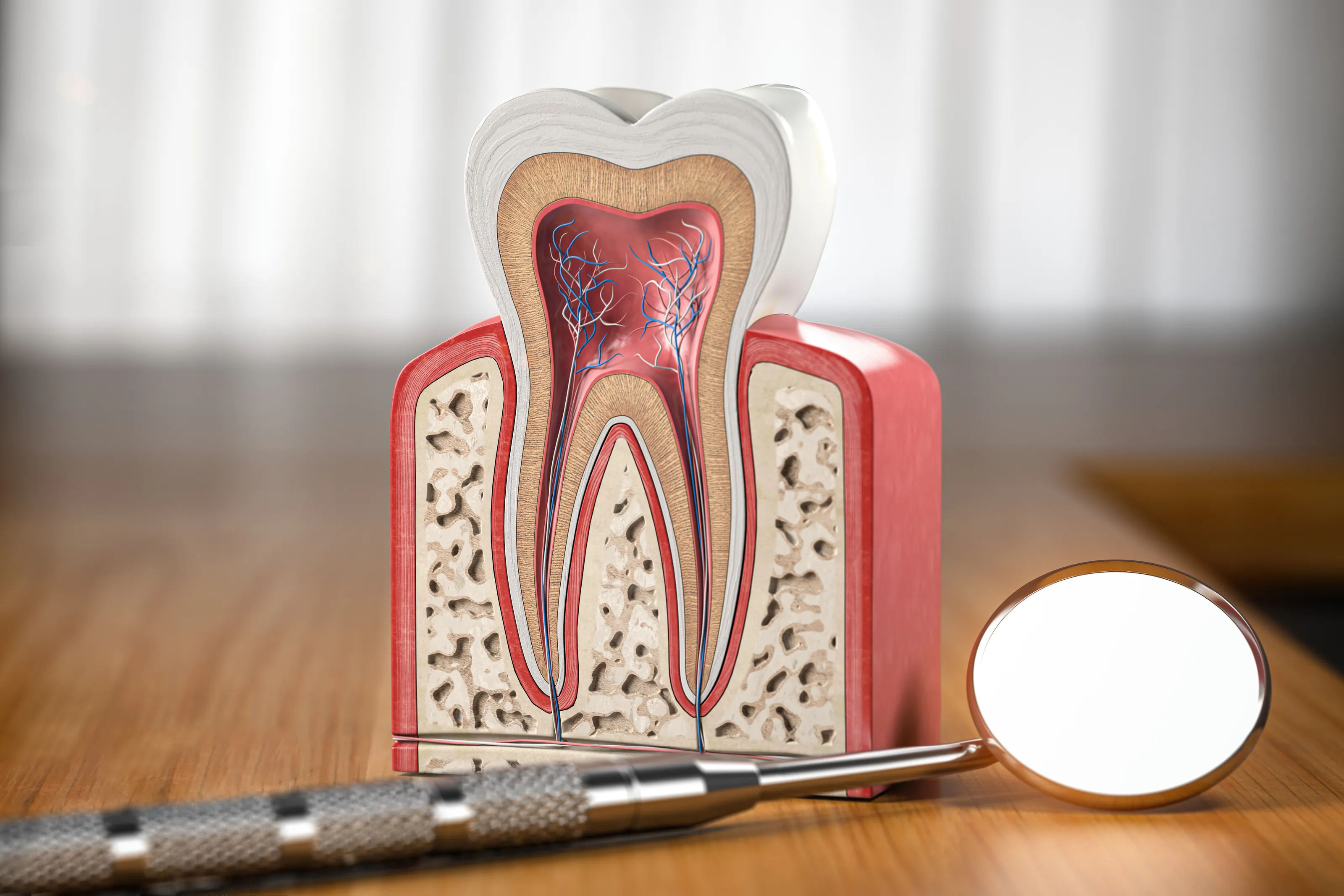 Patient dental consultation at Canarsie Dental Specialist
