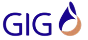 GIG Logo