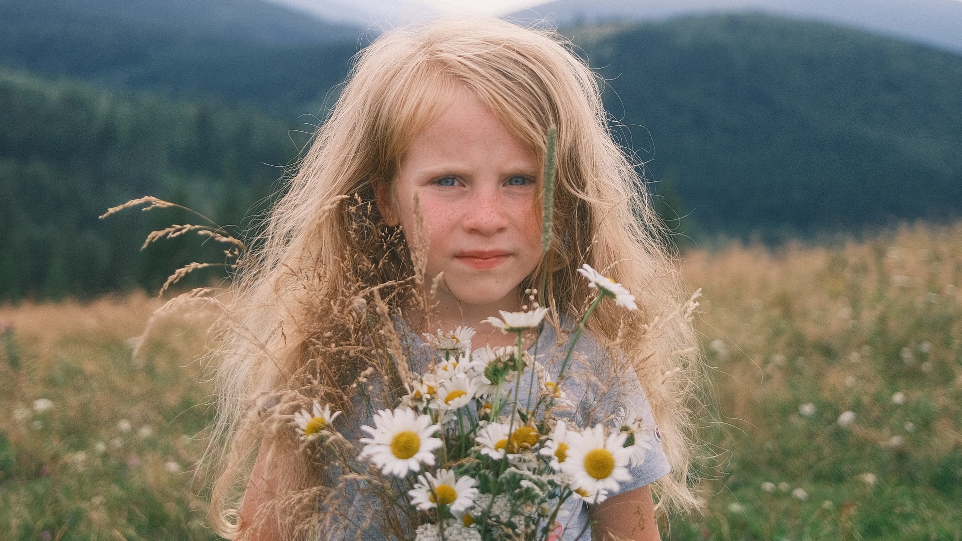 View moldovain.eu project