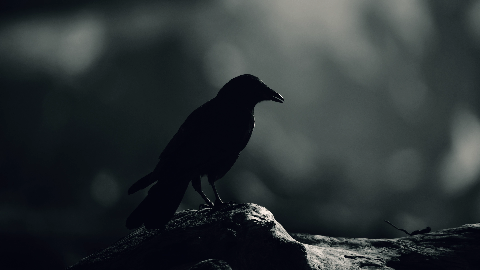 View moldovain.eu project