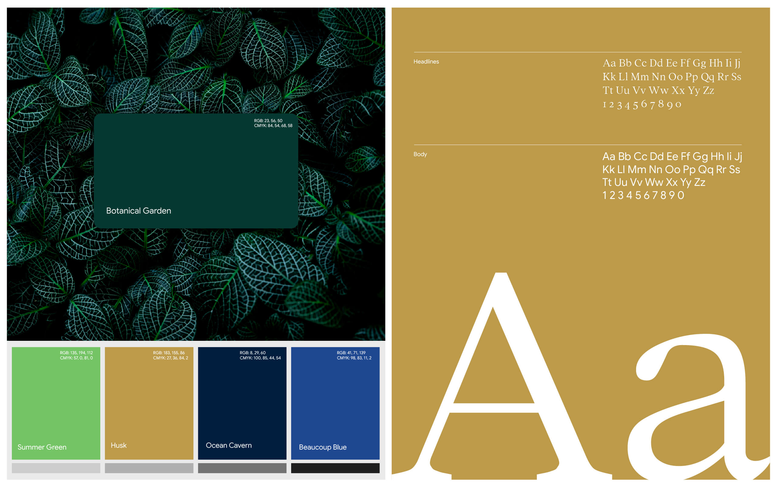 casa culture color palette and typography