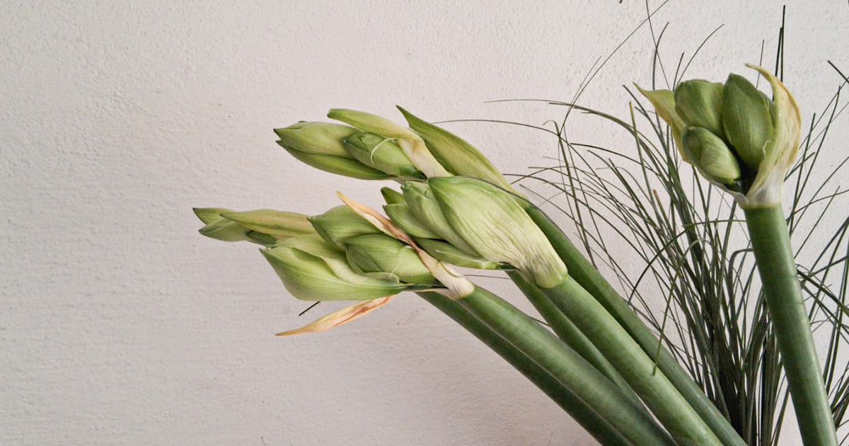 Composizione floreale con tulipani su sfondo chiaro, immagine rappresentativa per floral design