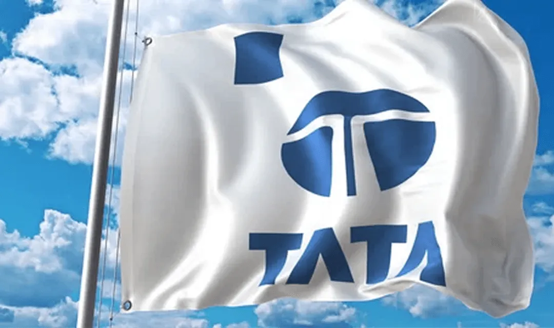 Metaverse Newsletter