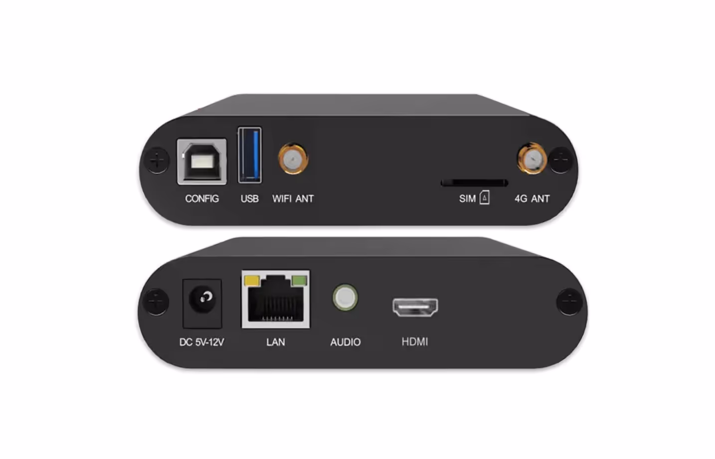 Metaverse Newsletter