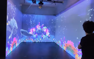 VR Visualization