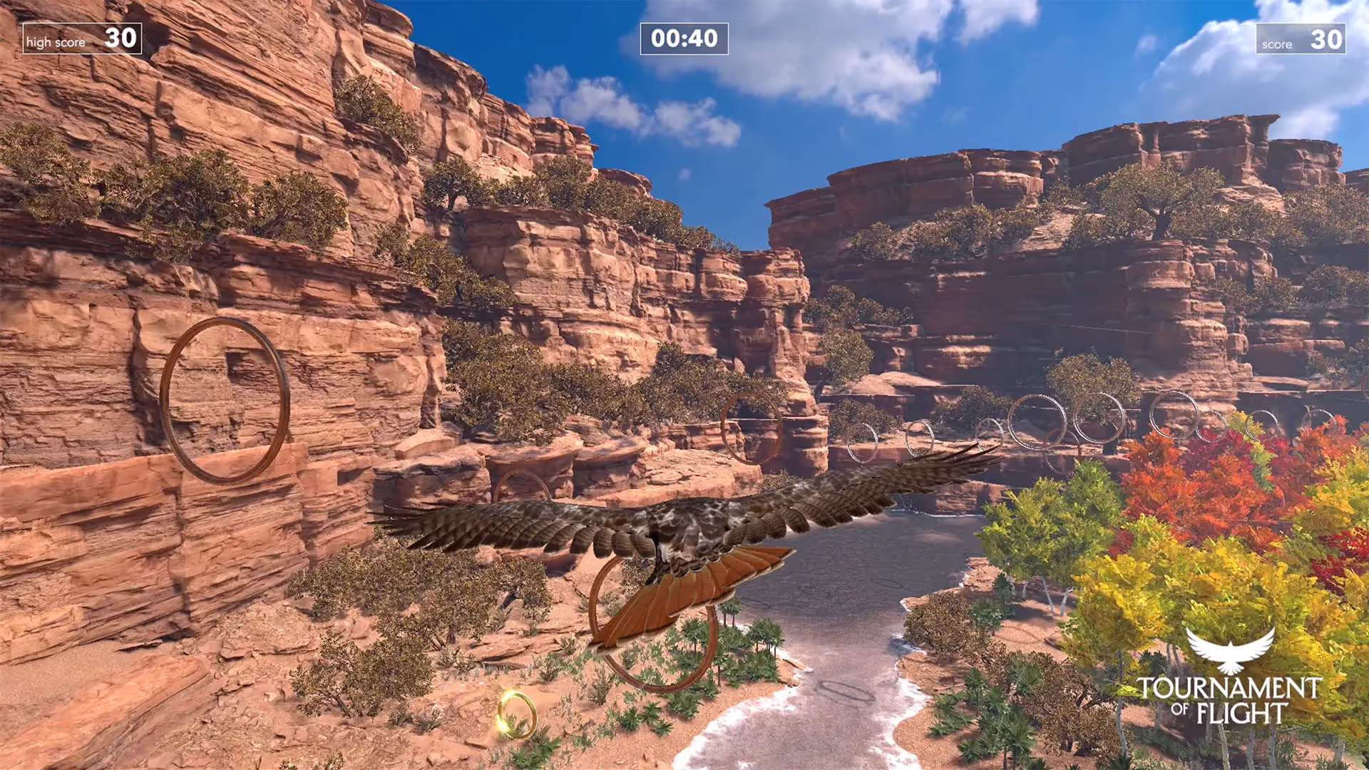 Tournament of Flight