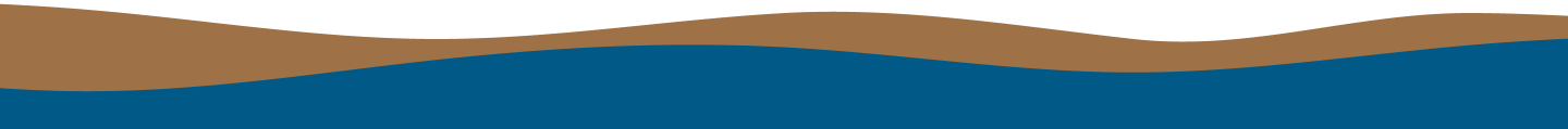 Hero Wave