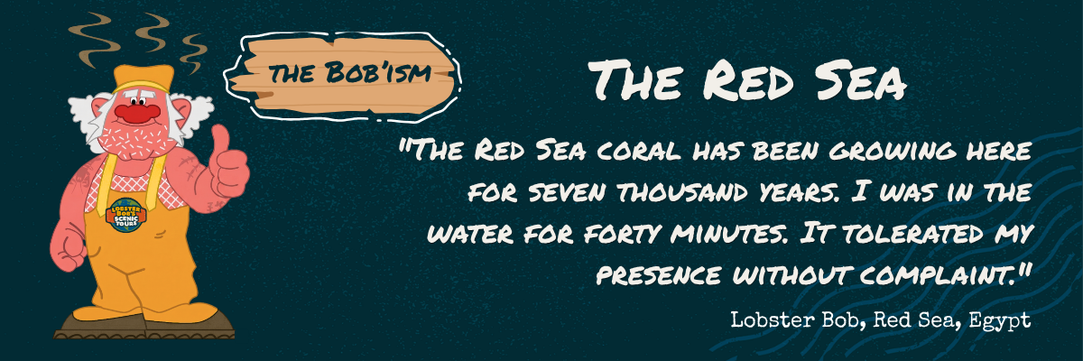 Red Sea Bobism