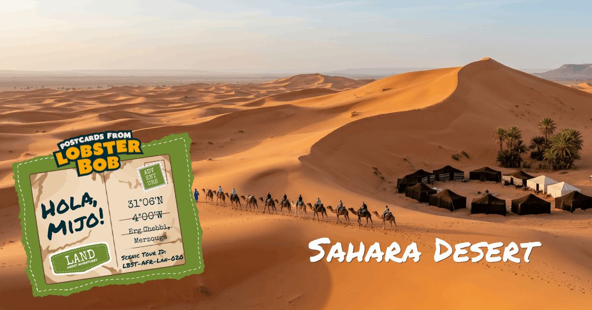 The Sahara Desert