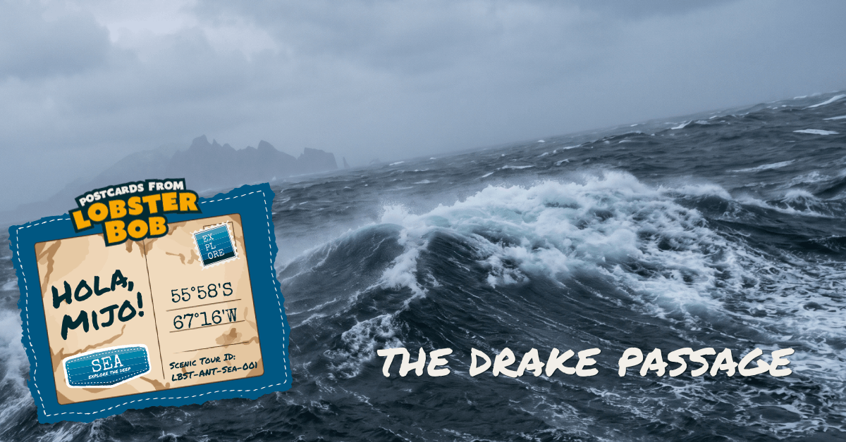 The Drake Passage
