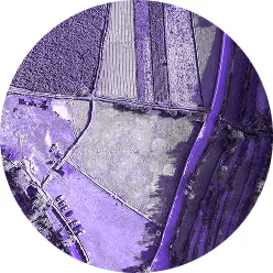 Aerial view of agricultural fields divided by roads and a canal with purple filter.