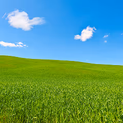 Green grassy hill under a blue sky with a few scattered white clouds.