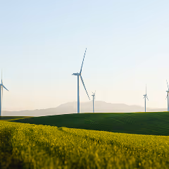 Wind turbines scattered across green rolling hills under a clear sky.