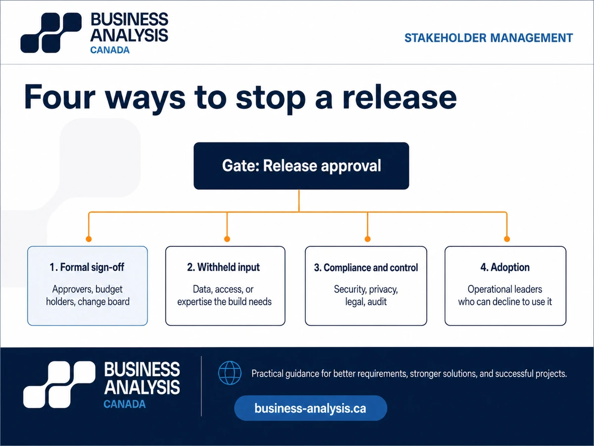 Diagram of four categories of stakeholder who can stop an IT project release, mapped back from a single gate.