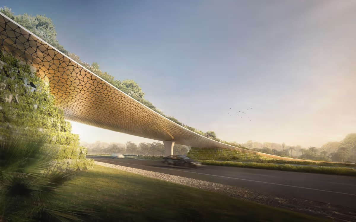 Arched bridge structure with honeycomb pattern spanning over a green-lined highway.