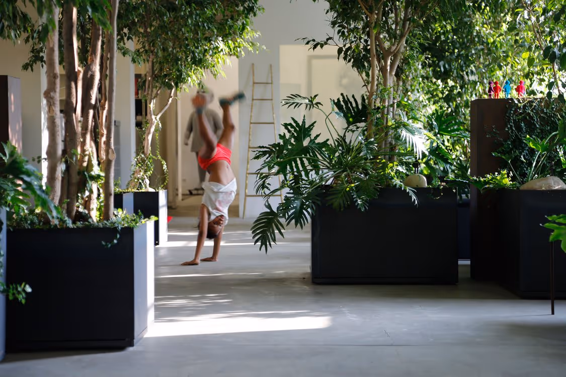 Person doing a handstand in a gallery-like space surrounded by tropical plants.
