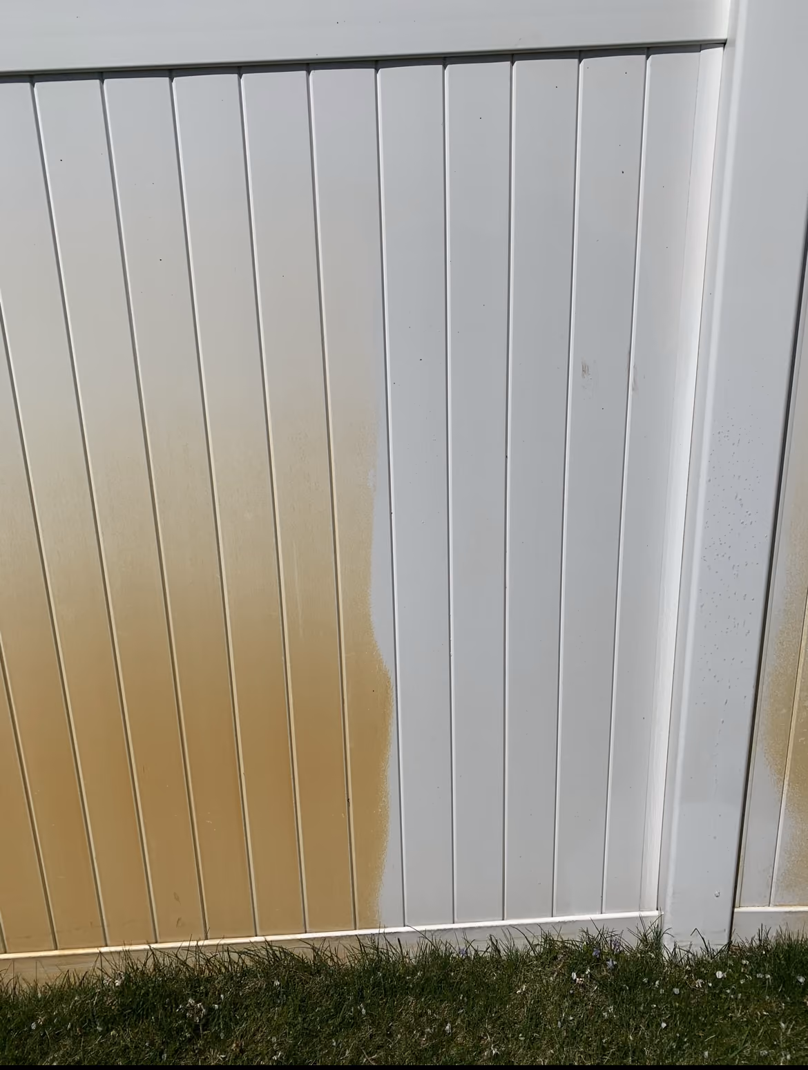 Siding before and after soft washing