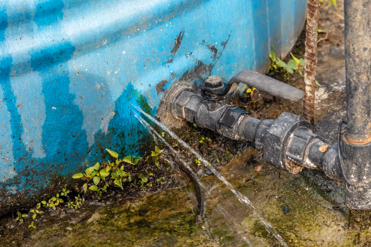 Leaking black outdoor water pipe valve spraying water onto wet mossy ground and small green plants near a blue wall.
