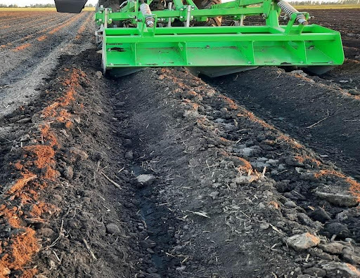 Hilling (Formation of ridges) on May 13, 2023