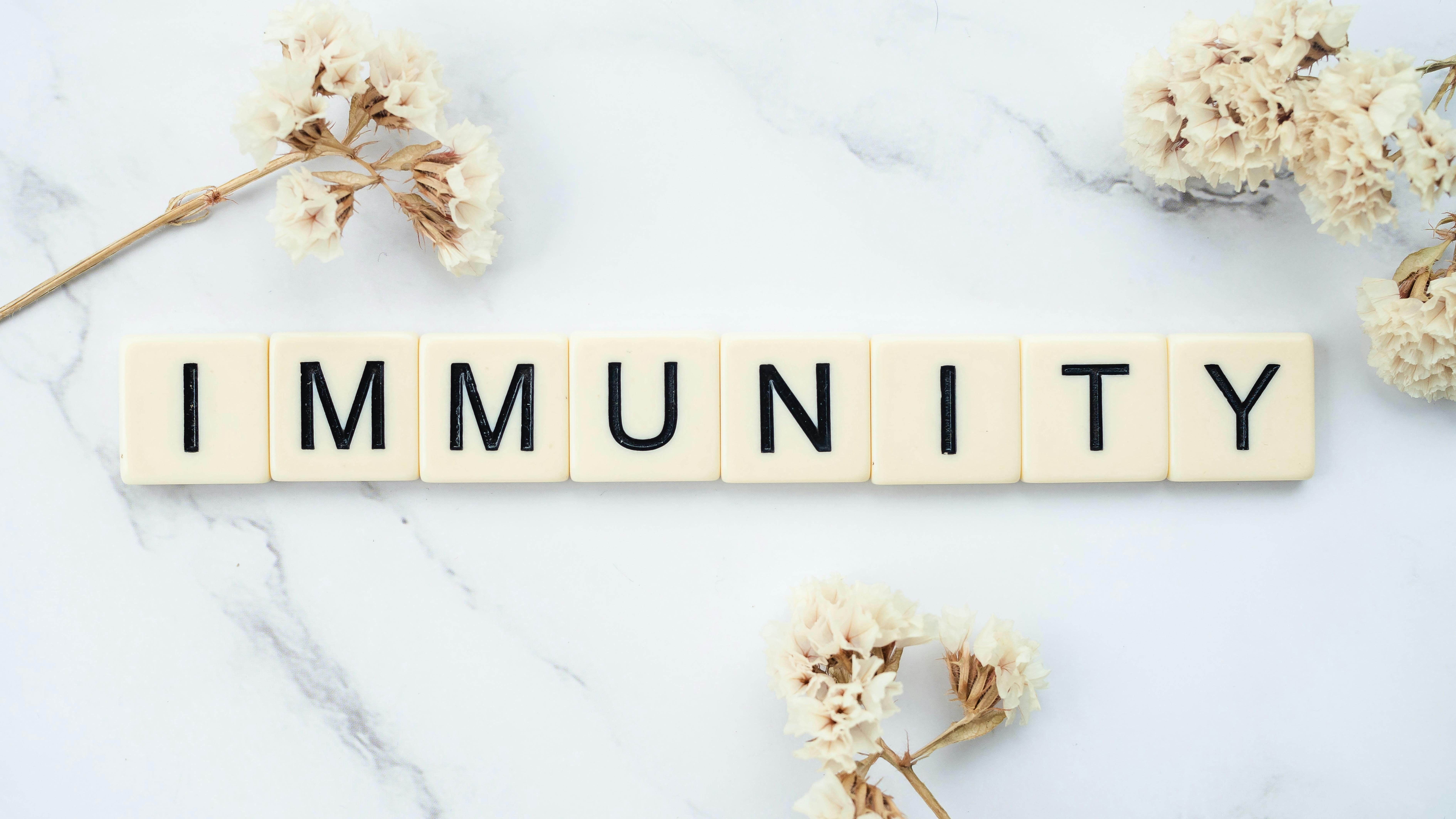 What Is the Immune System and What Does It Actually Do