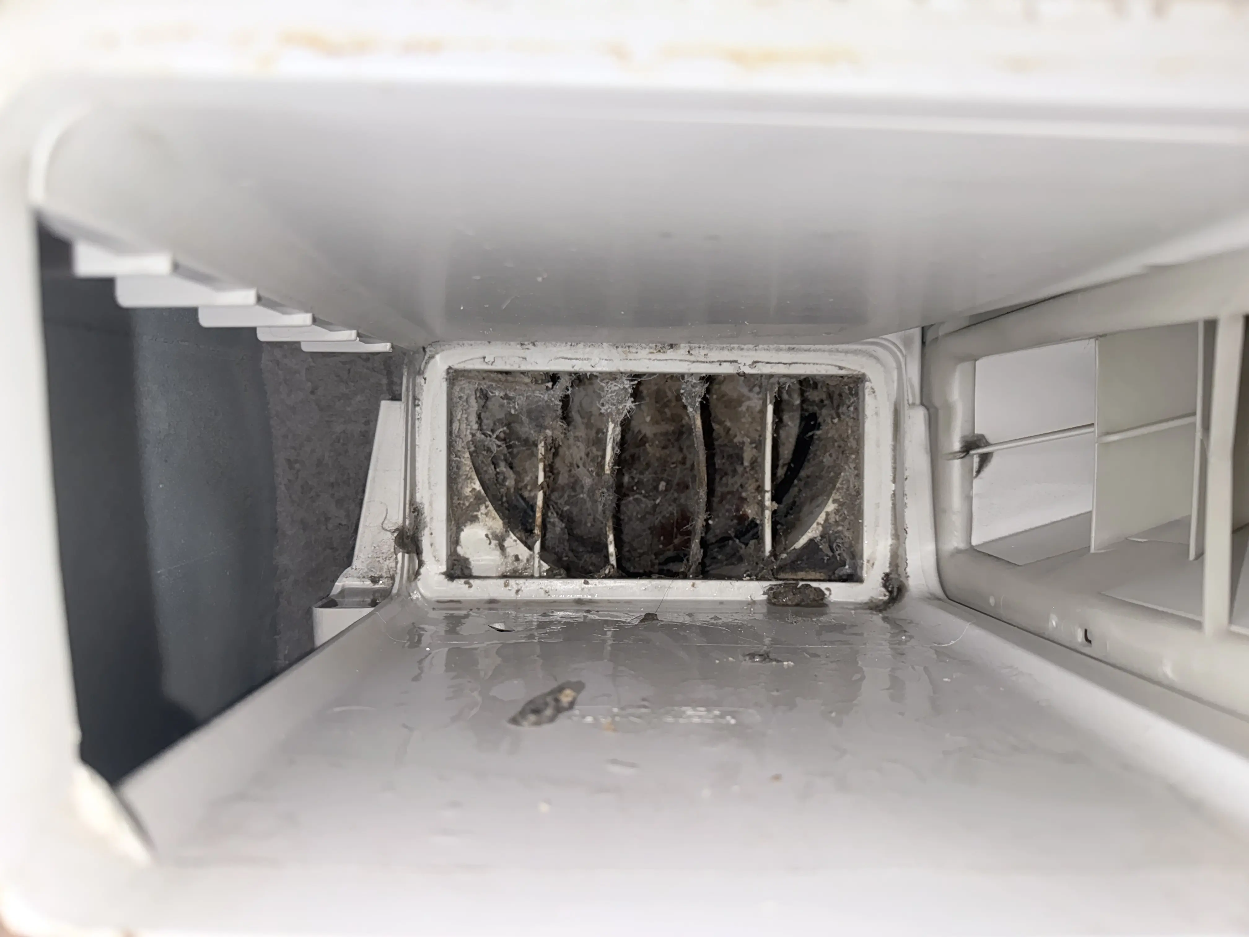 Dryer Not Heating — Gas vs. Electric: Complete Diagnosis Guide