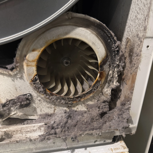 Complete technical breakdown of why your dryer isn't heating. Gas, electric, and heat pump dryers. Every failure point explained with NYC-specific vent issues.