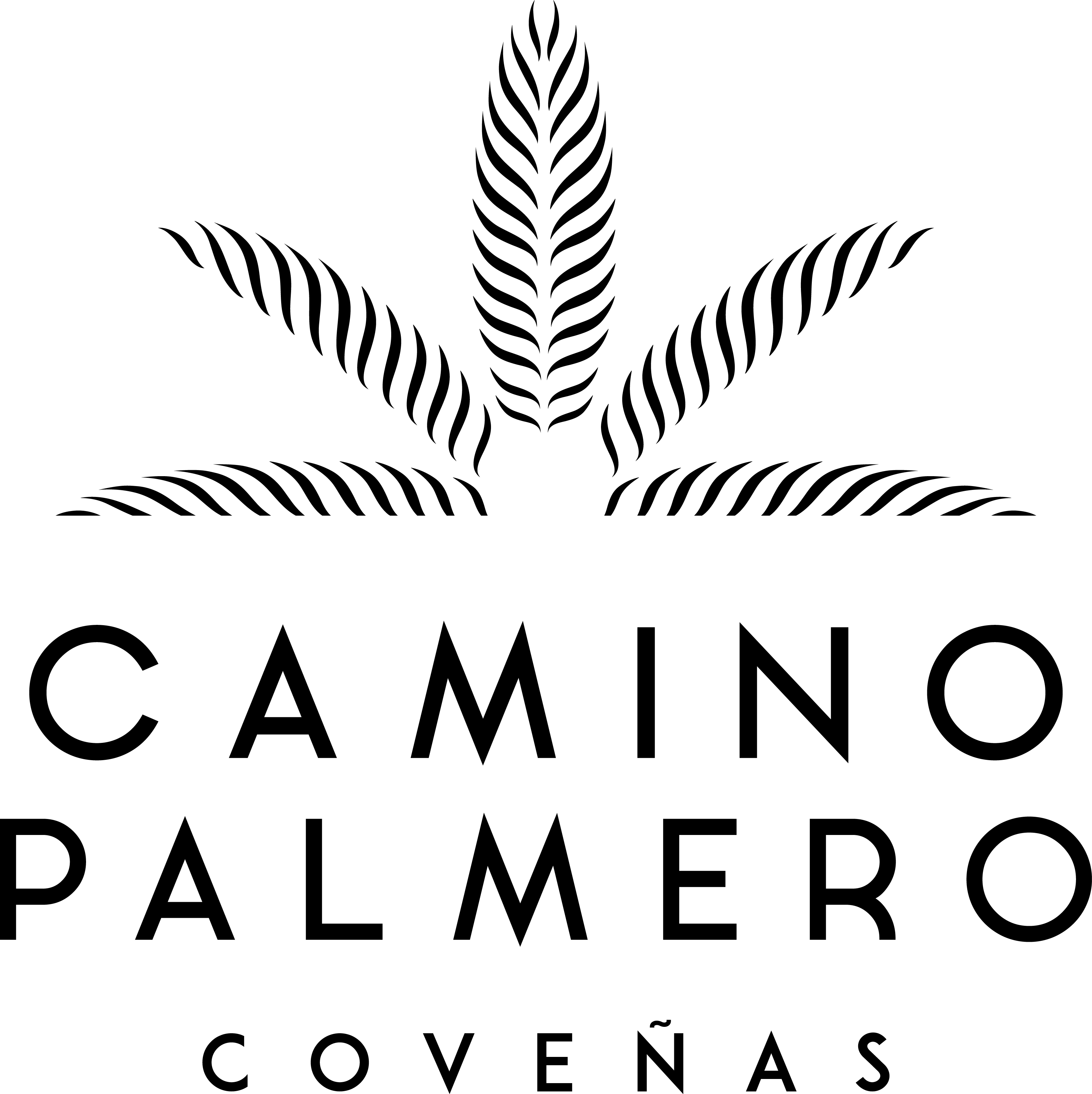 Camino Palmero