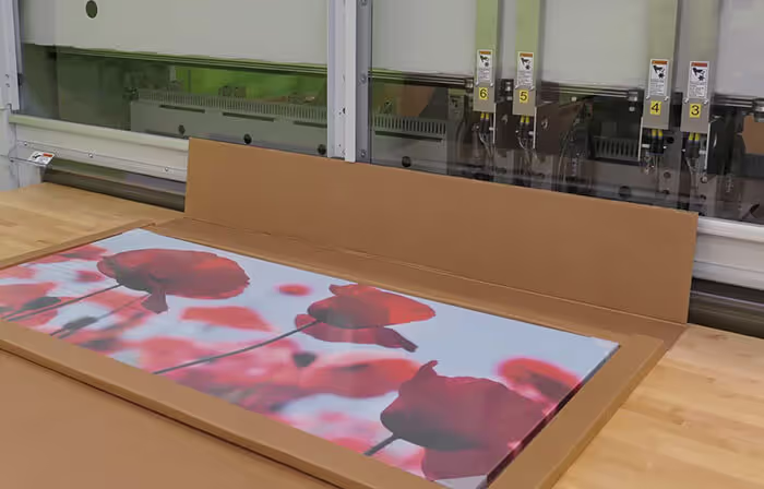 Ein Bild eines individuellen Fotodrucks, verpackt in einem perfekt passenden Karton, um das Produkt beim Versand zu schützen.