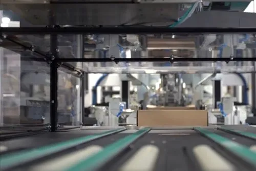 Werd‘ Teil von Packsize, einem Arbeitgeber der Zukunft!