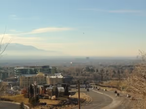 I snapped this today