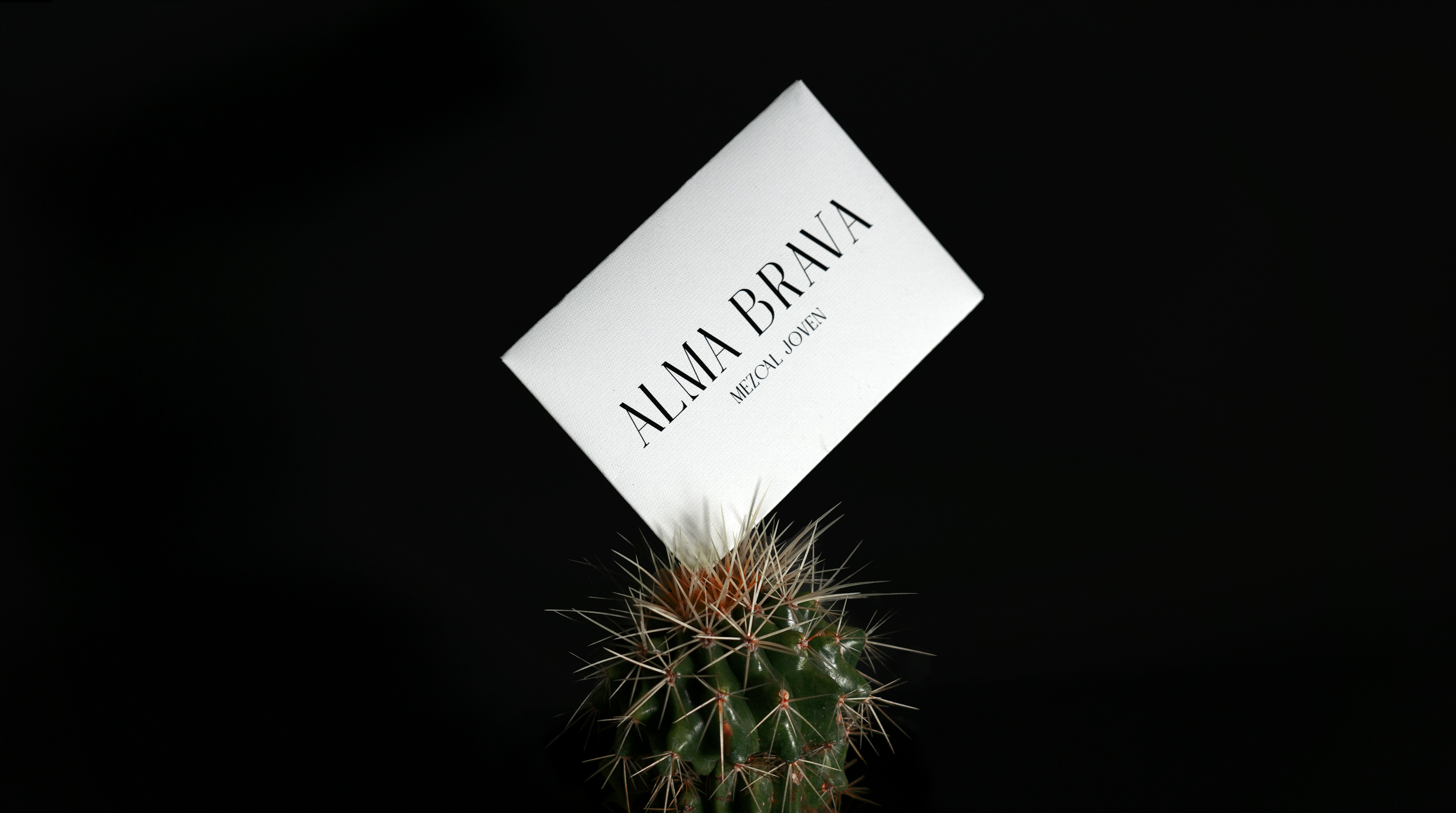 Our insights dive into the stories, experiments, and design decisions shaping our work. From concept exploration to final execution, we share the thinking that drives our creative direction.