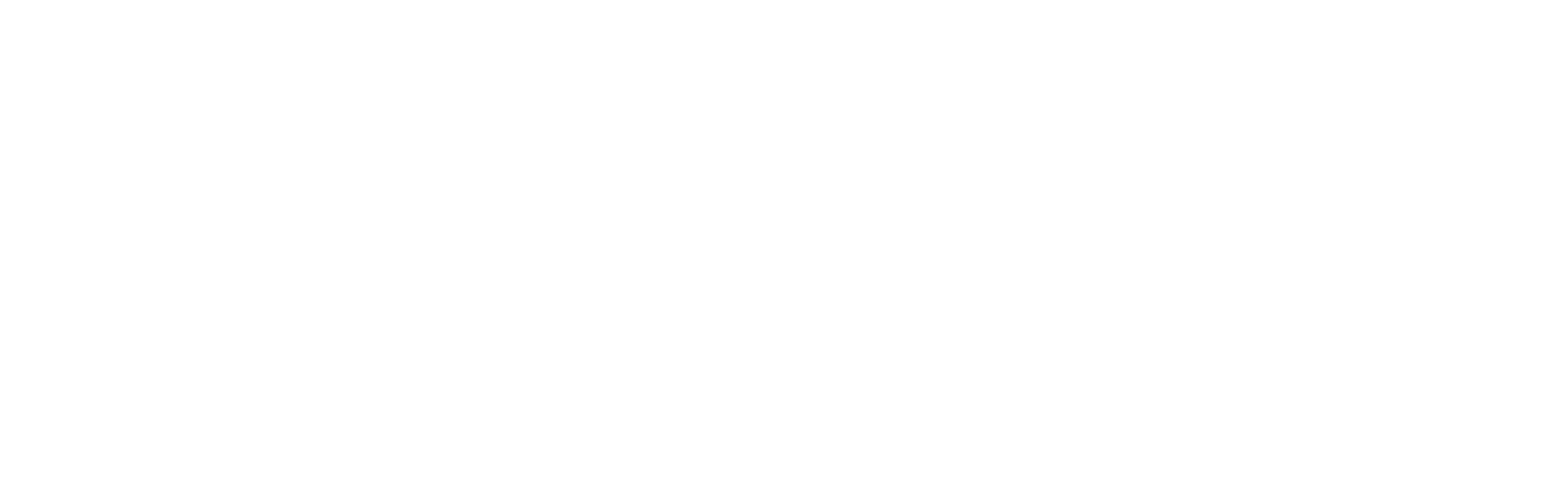 Palm tree icon next to the text Palm Church in bold white letters.