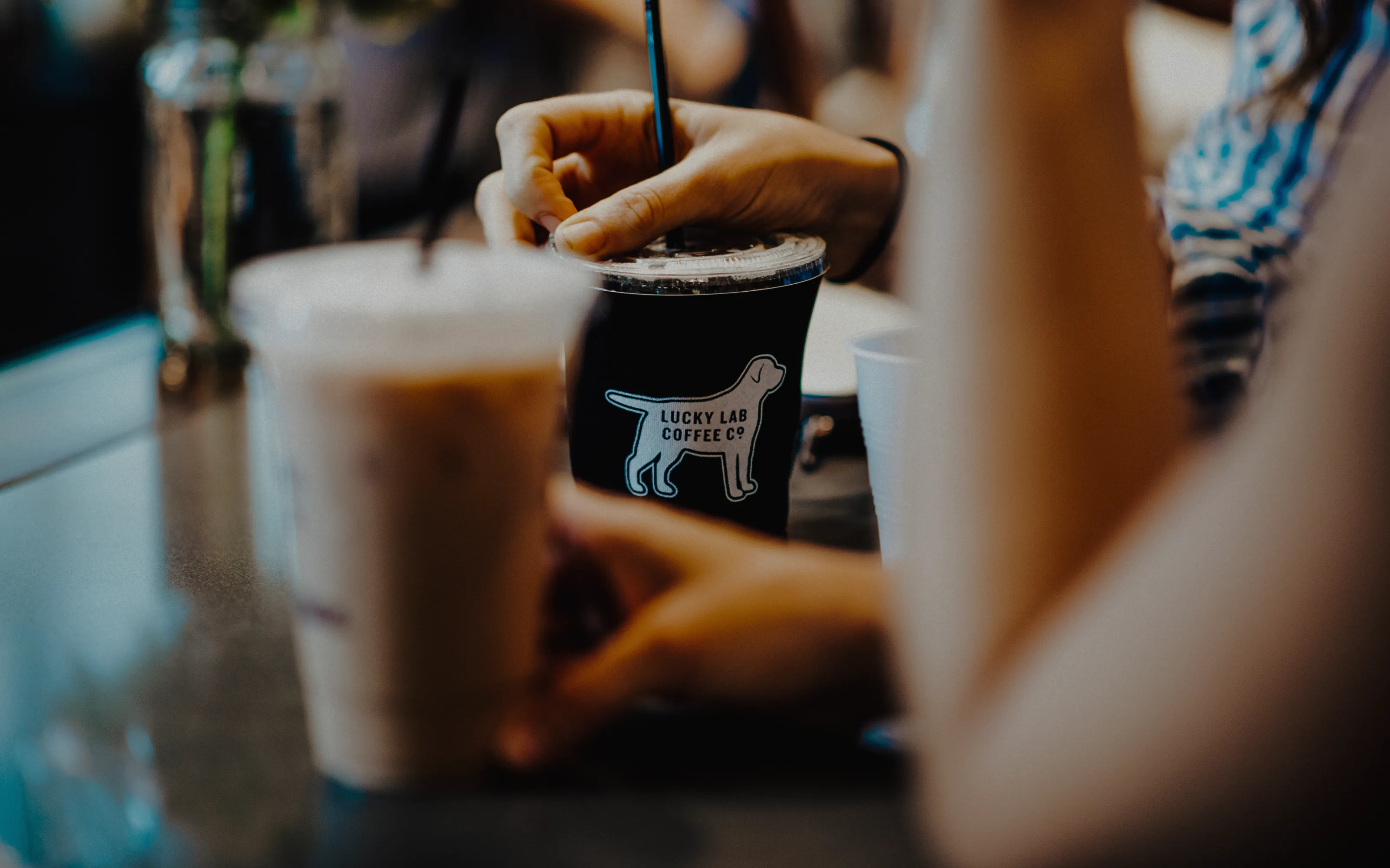 Close-up of hands holding iced coffee cups, one with a Lucky Lab Coffee Co. logo featuring a dog.