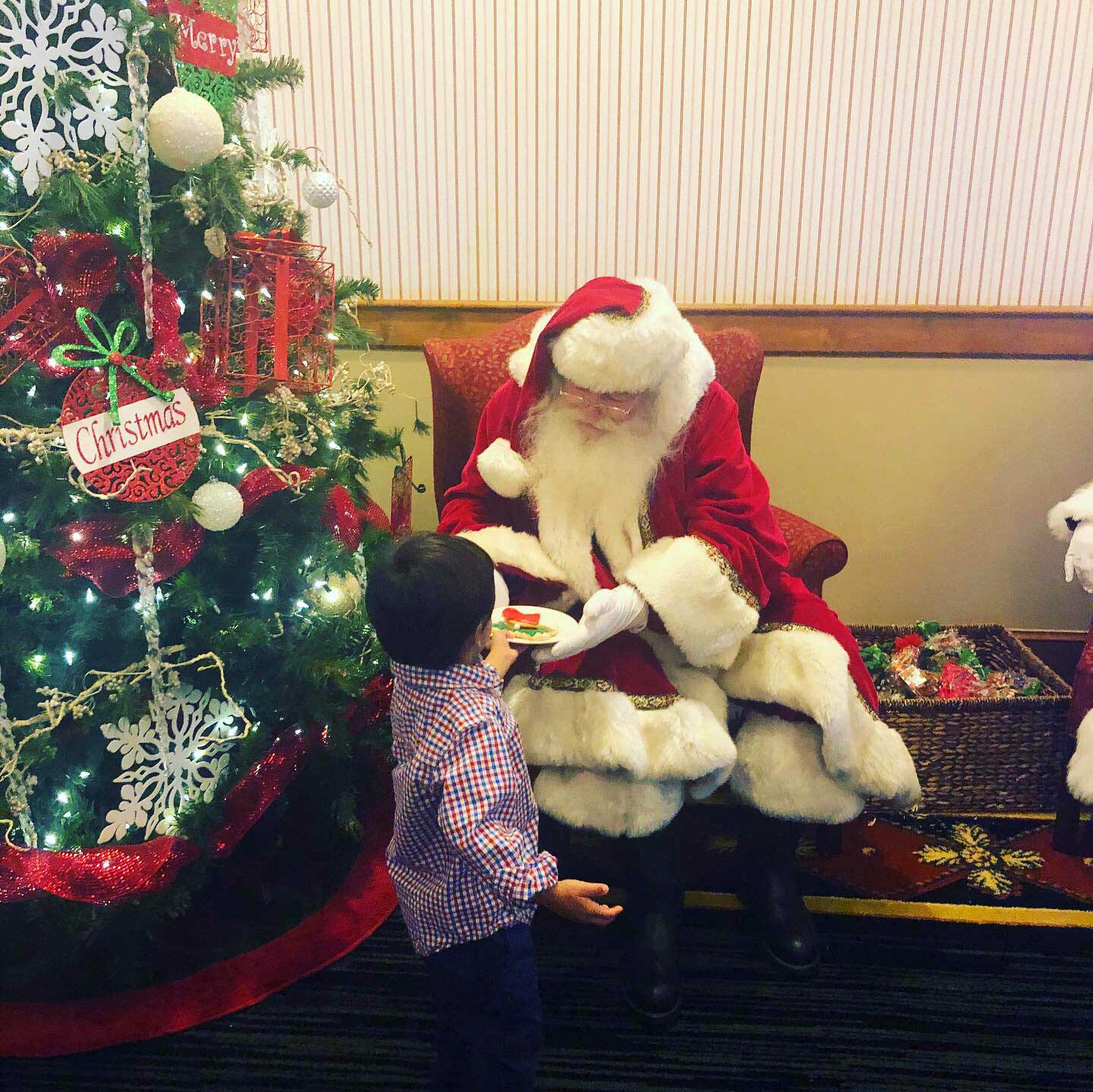 A young boy handing a plate of cookies to Santa Claus sitting by a decorated Christmas tree.