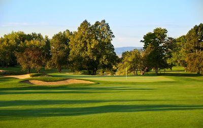 Golf course green with sand bunkers and a flagstick surrounded by trees under a clear sky.