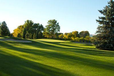 Sunlit golf course fairway with sand bunker and trees in the background under a clear blue sky.