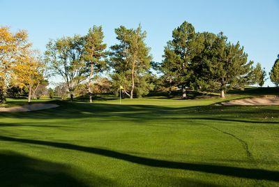 Golf course view of green with flagstick and surrounding trees under clear sky.