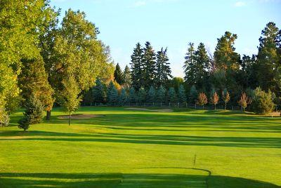 Sunlit golf course fairway with green grass and trees along the edges under a clear blue sky.