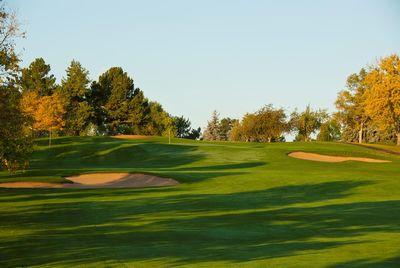 Golf course green with sand bunkers and surrounding trees under a clear sky.
