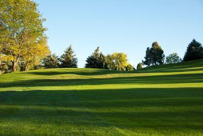 Sunlit golf course fairway with well-maintained green grass and trees in the background under a clear blue sky.