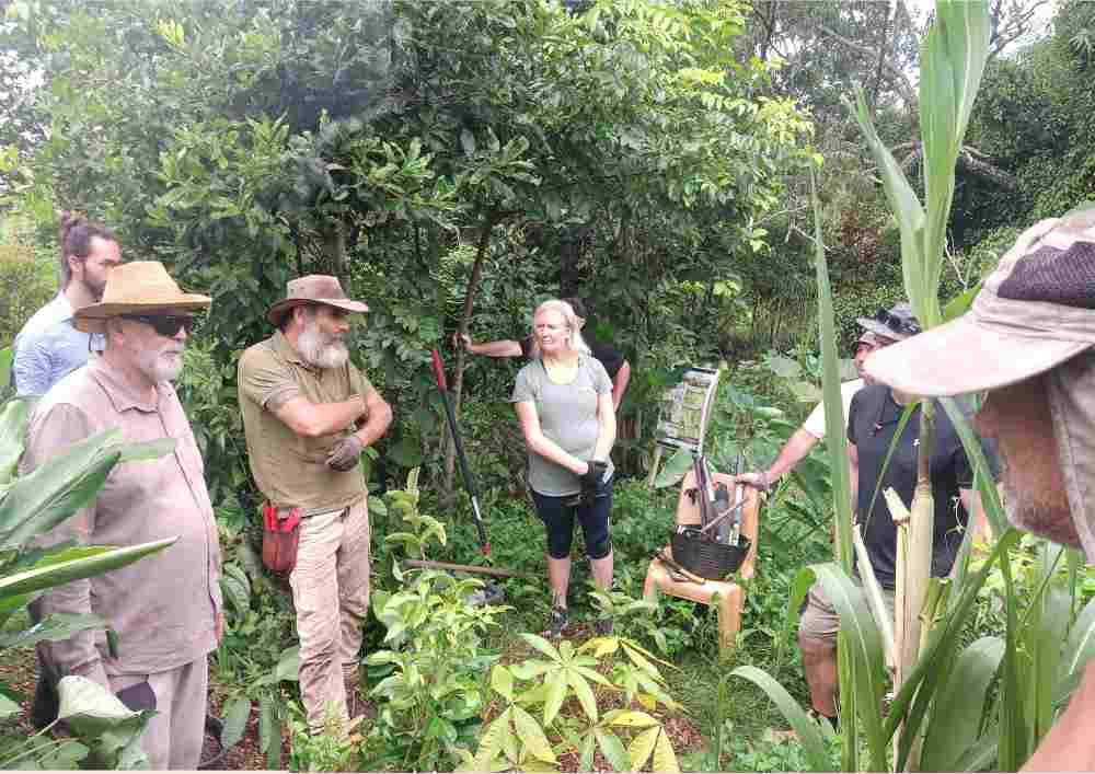 People taking part in a guided interpretive walk through the Ediblescapes edible forest garden