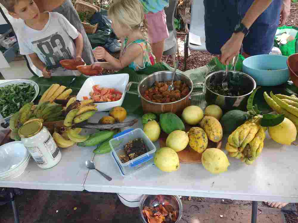 People gathered at Ediblescapes for a community biocultural food learning event in the garden