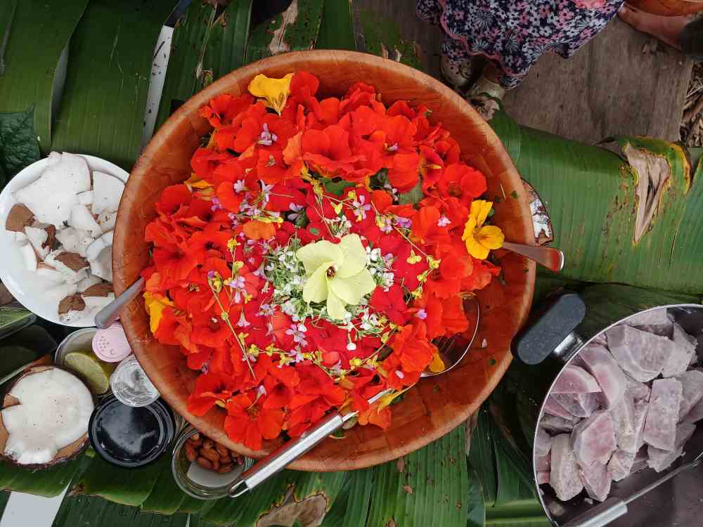 Shared gardening and learning at Ediblescapes community edible forest garden