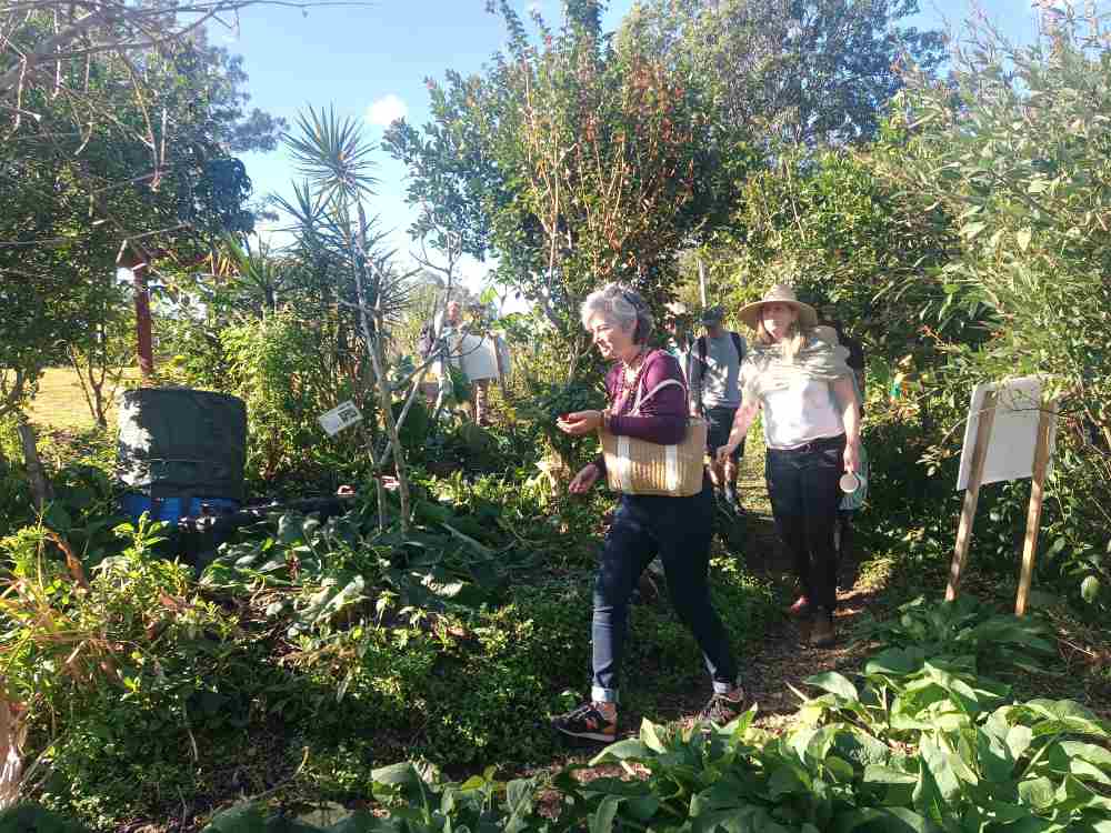 Visitors walking and learning together through the Ediblescapes garden