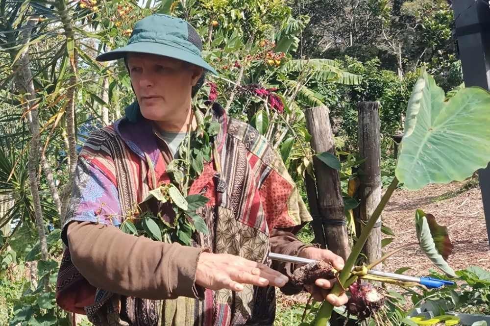Kyle Grimshaw-Jones speaking and demonstrating edible plants at Ediblescapes during Botanical Bazaar 2025