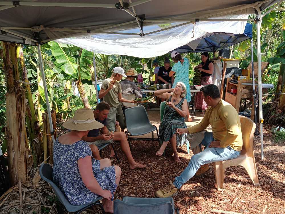 Participants relaxing, talking and sharing food beneath shade shelters during an Ediblescapes Community Edible Forest Gardening Action Day in Nerang, Gold Coast.